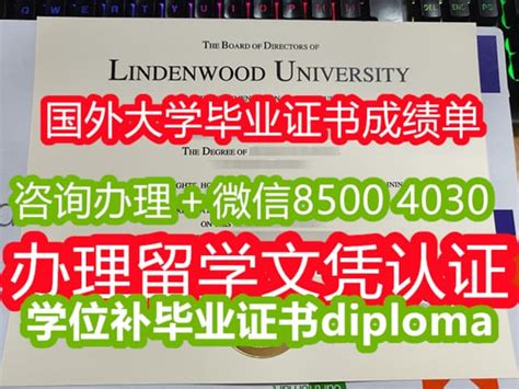 《留学文凭代顿大学毕业证书|学位证书留学生购买》 | PPT