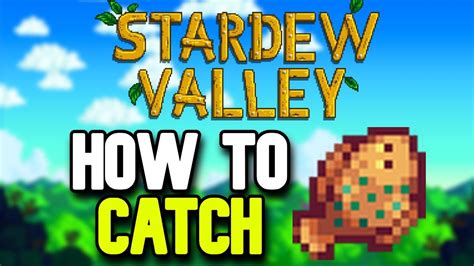 How to Catch a Flounder in Stardew Valley - YouTube