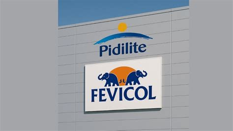 Pidilite Industries announces bonus issue, special dividend amid Q1 ...