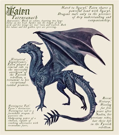 Pin by ralu 🧿 on alas de sangre 🐉 | Wings book, Wings art, Wings wallpaper