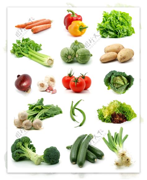各种蔬菜图片素材-编号24587902-图行天下
