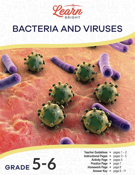 Bacteria vs Virus worksheet - Worksheets Library