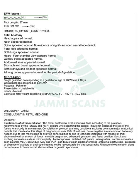 Pelvic Ultrasound Report Template
