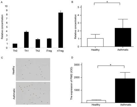 Image result for PIM2