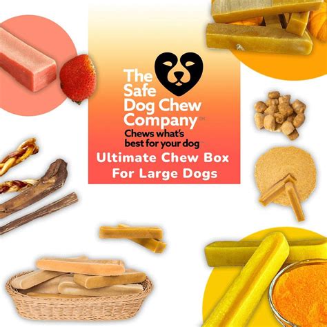 ULTIMATE CHEW BOX FOR LARGE DOGS – The Safe Dog Chew Company