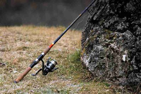 Image result for Fishing Rod Types