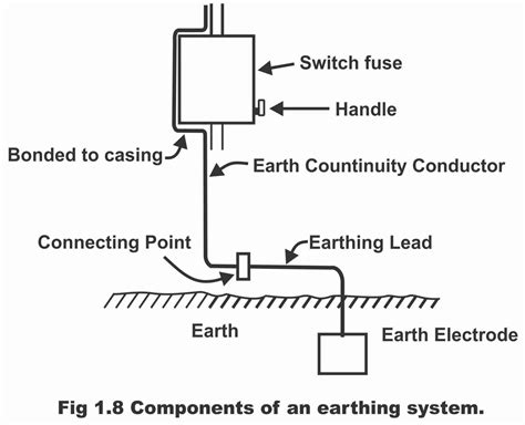 Mayo Clinic Earthing at Brent Vangundy blog