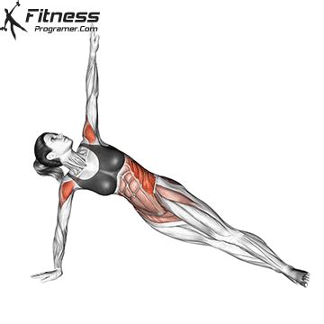 Side Plank Rotation » Fitness Programer