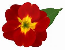 Free Clipart Image Of Flower by Large Flower Clipart 20 Free Cliparts Free Clipart Image Of Flower