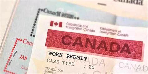 加拿大旅游签证申请攻略 最新最详细 - 签证 - 旅游攻略