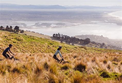 Cities in New Zealand | 100% Pure New Zealand