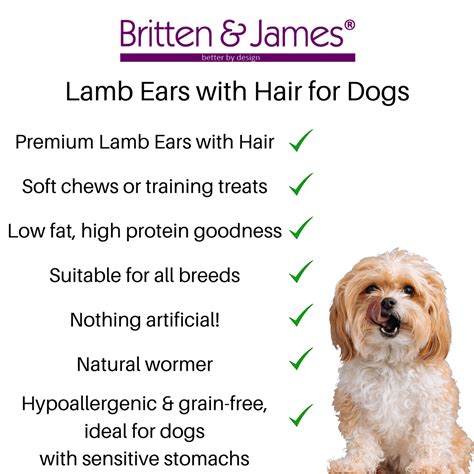 Lamb Ears with Hair for Dogs - Pack of 40