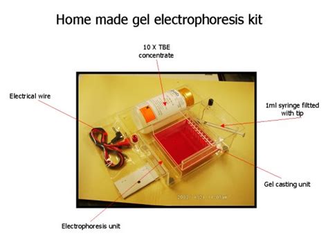 Biotechnology Projects 的图像结果