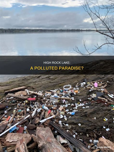 High Rock Lake: A Polluted Paradise? | ShunWaste