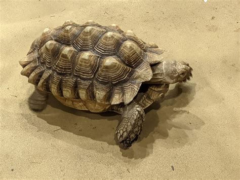 Blue Zoo Aquarium Oklahoma City: Information, Tickets and Reviews