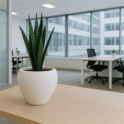 Apple Pots Manufacturer & Supplier from India