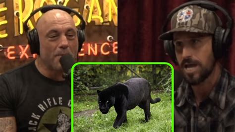 Image result for Python Cowboy YouTube