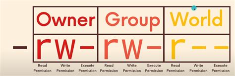 Image result for Linux Bash Commands