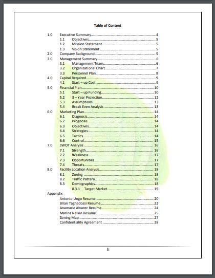 Business Plan Examples PDF 的图像结果