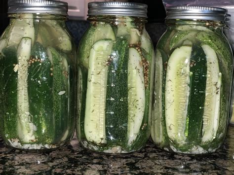 Garlic Sour Dill Pickles – Kitchen Dust