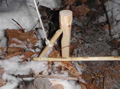 Spring Snare Trigger 的图像结果