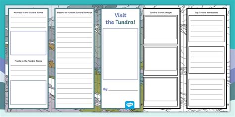Tundra Biome Travel Brochure