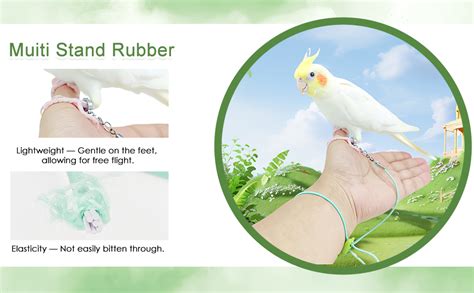 BendJoy® Adjustable Parrot Leg Ring with 3M Elastic Rope, Parrot ...