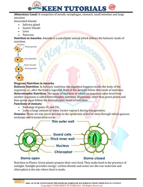 Image result for Class 10 Science Chapter 5 Life Process Notes
