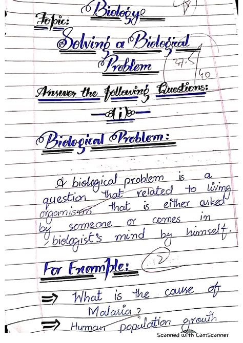 Problem Solving Procedures 的图像结果