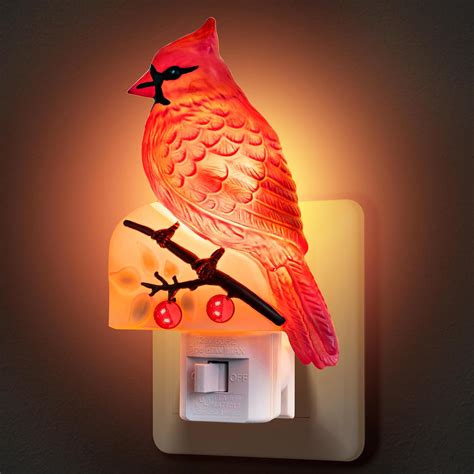 Amazon Christmas Nightlights at Callum Winter-irving blog
