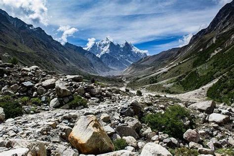 National Parks In Uttarakhand Top 6 Places You Must Visit In 2025