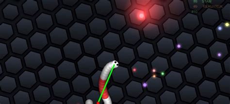 Slither.io Bot Mod 的图像结果