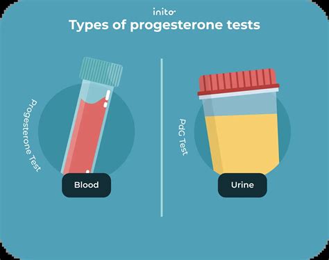 Day 21 Progesterone Testing: Everything You Must Know