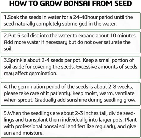 Meekear 4 Bonsai Tree Seeds with Complete Growing Kit & India | Ubuy