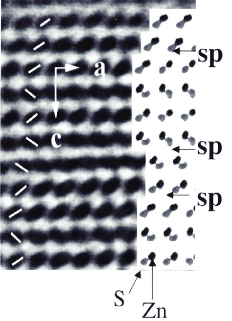 Most Powerful Microscope 的图像结果
