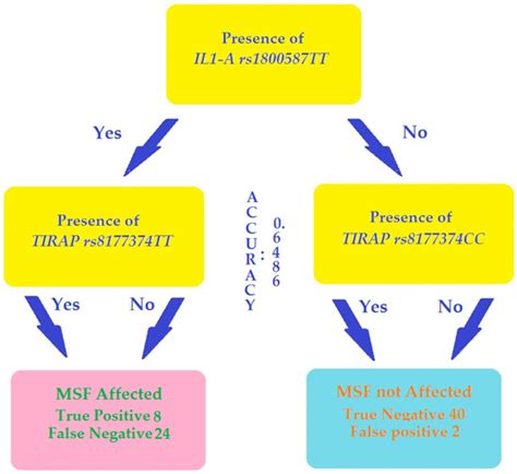 Biomolecules | Special Issue : Advances in Immunogenetic Markers of ...