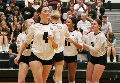 Delone Catholic exacts revenge on Trinity, advance to District 3 2A ...
