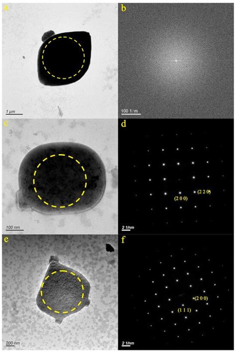 Characteristics and Research Significance of Micro-Nanoparticles in ...