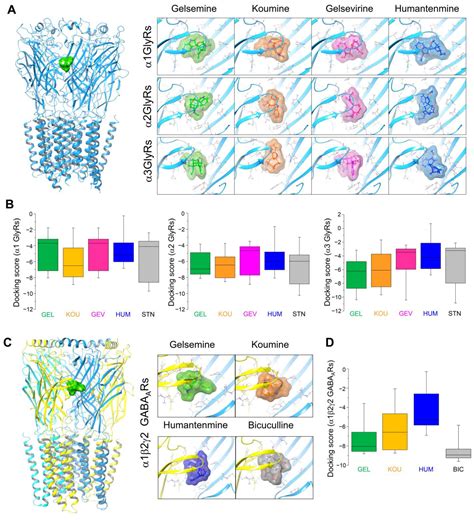 Molecular Pharmacology of Gelsemium Alkaloids on Inhibitory Receptors