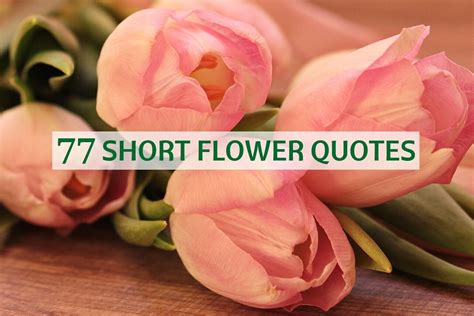 flower pictures quotes