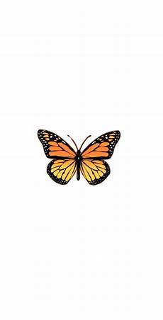 Orange Butterfly Wallpaper Vsco by Butterfly Wallpaper Image By On Wallpapers In 2020 Orange Butterfly Wallpaper Vsco