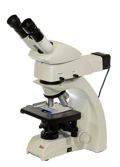 Fluorescence Microscope 的图像结果