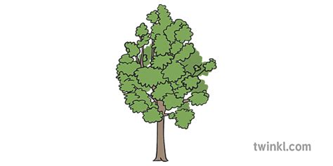 Consonant Blends with 'r' - 'r' Blend Words - Teaching Wiki