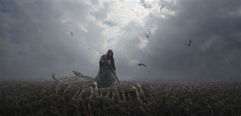 Image result for Scintilla Software