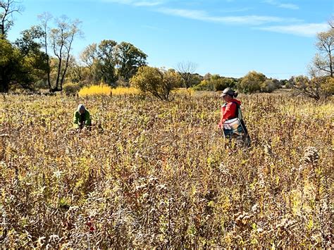 Events - Friends of Pheasant Branch Conservancy