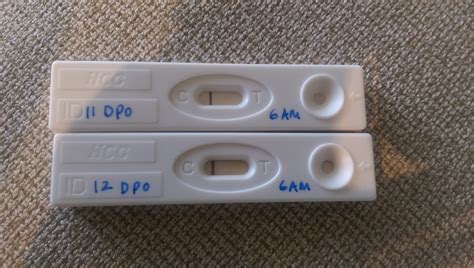 Pictures Of Positive Dollar Tree Pregnancy Tests at Ronald Caster blog