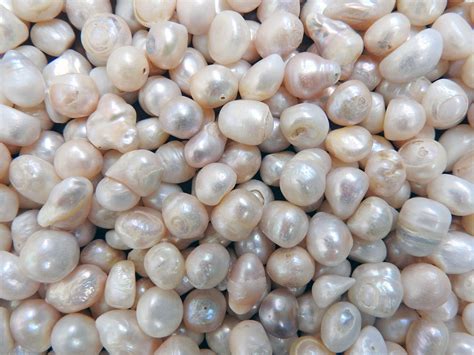 Understanding Pearl Colors: How Oysters Create Different Color Gems