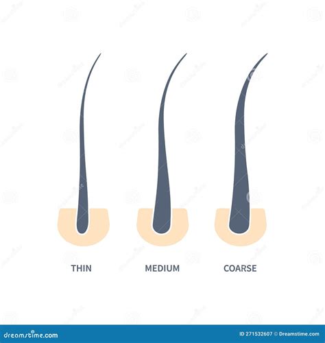 Hair Texture Chart Fine Medium Coarse