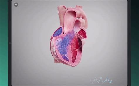 医学 的图像结果