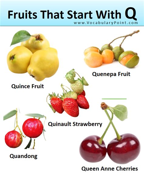 Fruits And Vegetables That Start With The Letter Q at Phyllis Gordon blog